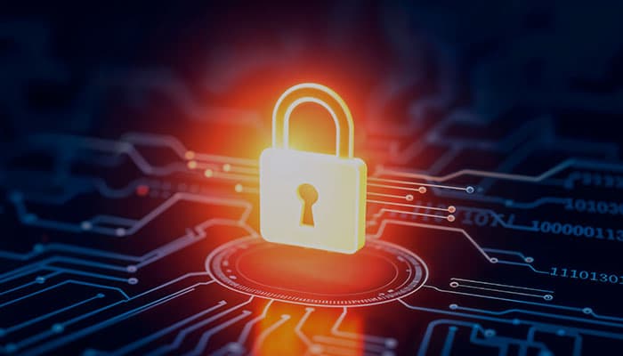 All Your Business Needs to Know about Data Privacy